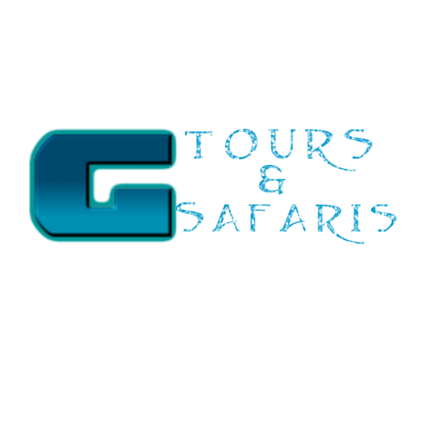 g tours.com